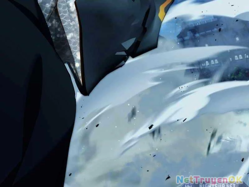 Vua Thăng Cấp Chapter 191 - Trang 4