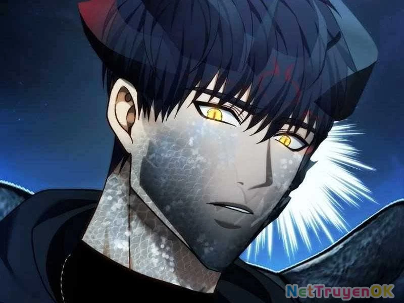 Vua Thăng Cấp Chapter 191 - Trang 4