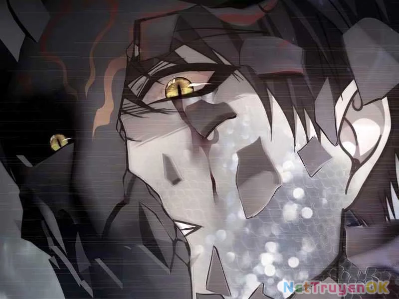 Vua Thăng Cấp Chapter 191 - Trang 4