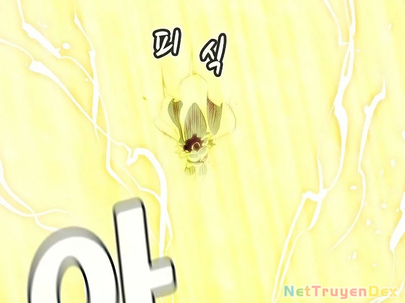 Độc Cô Tử Linh Sư Chapter 155 - Trang 4