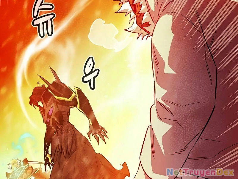 Độc Cô Tử Linh Sư Chapter 155 - Trang 4