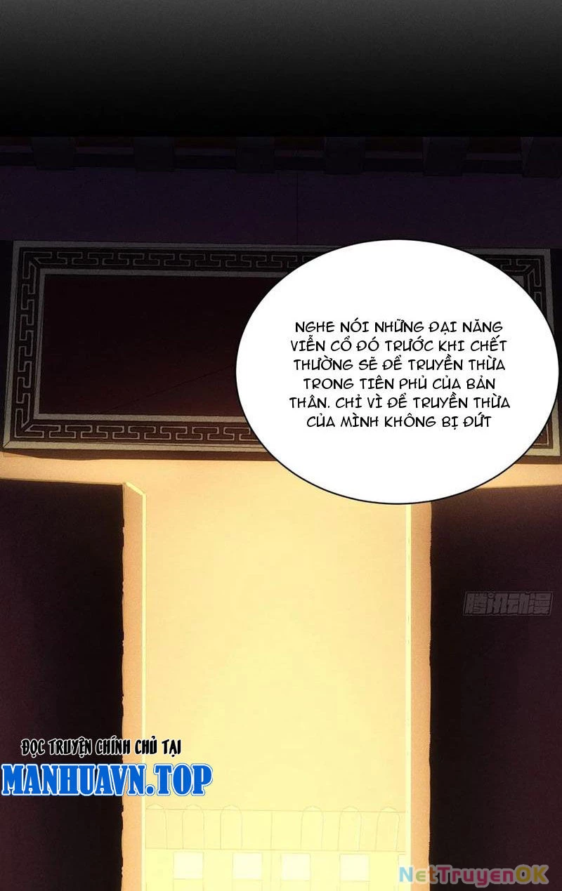 Thê Tử Của Ta Là Đại Lão Đại Thừa Kỳ Chapter 65 - Trang 3