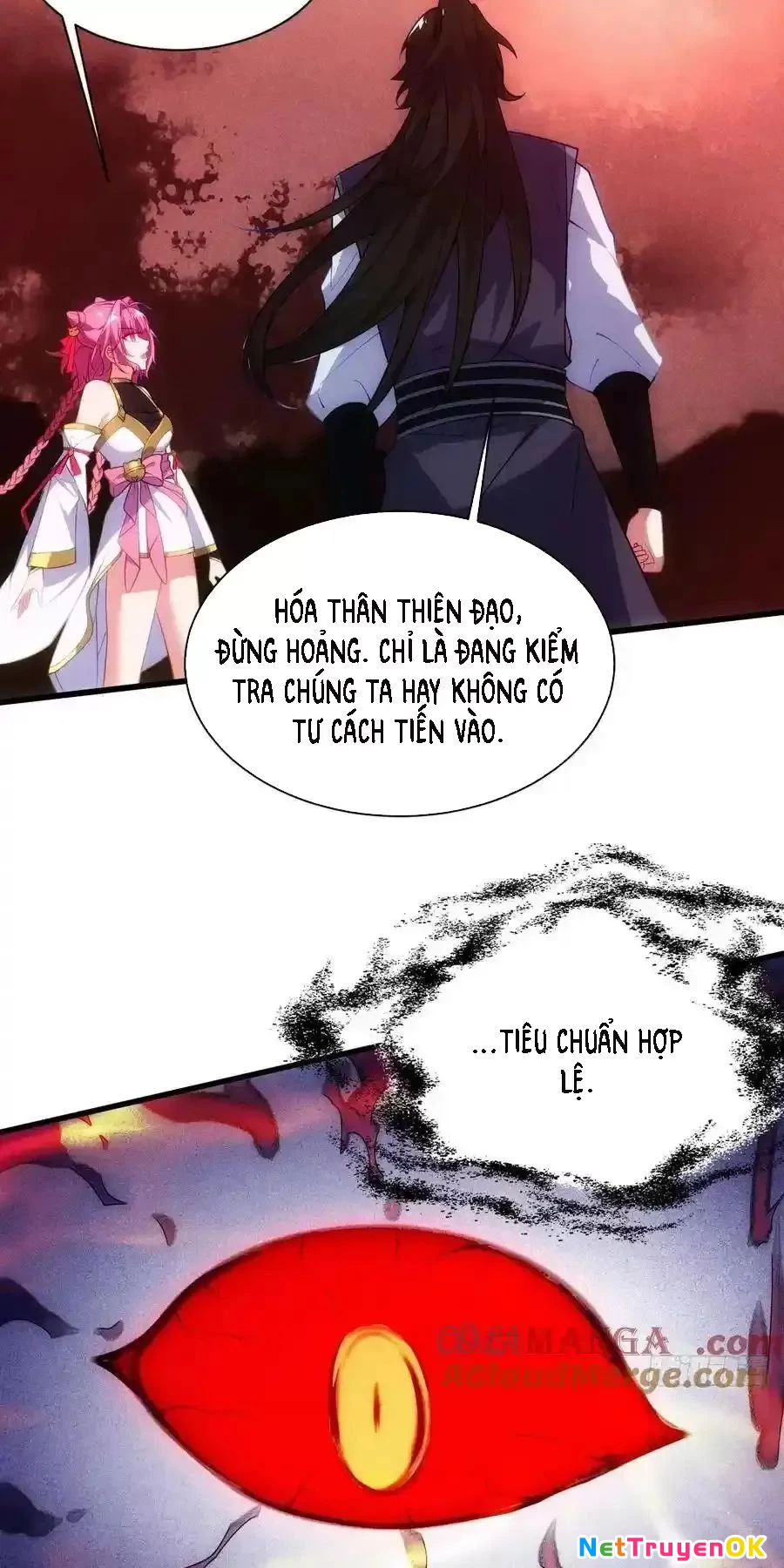 Thê Tử Của Ta Là Đại Lão Đại Thừa Kỳ Chapter 67 - Trang 3