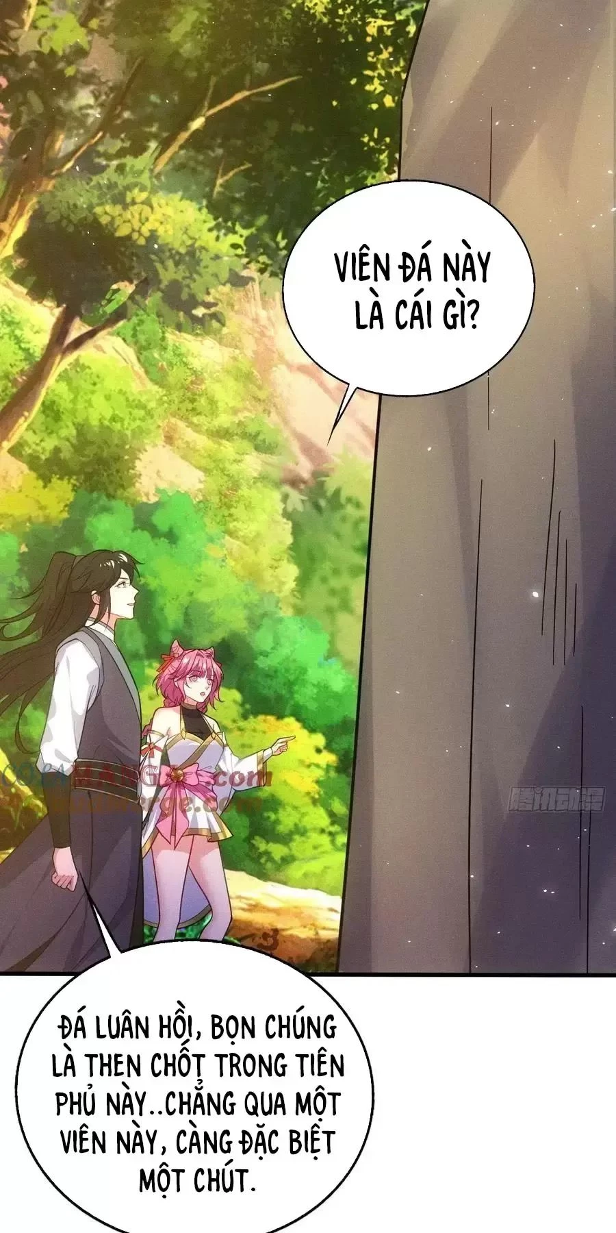 Thê Tử Của Ta Là Đại Lão Đại Thừa Kỳ Chapter 72 - Trang 3