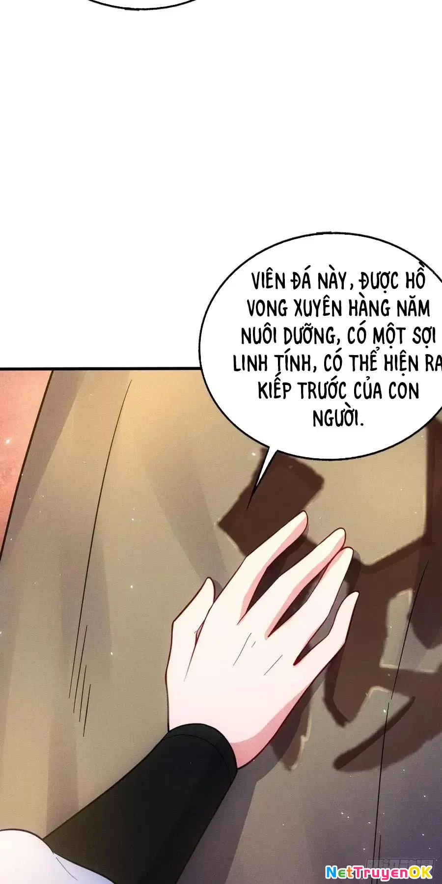 Thê Tử Của Ta Là Đại Lão Đại Thừa Kỳ Chapter 72 - Trang 3