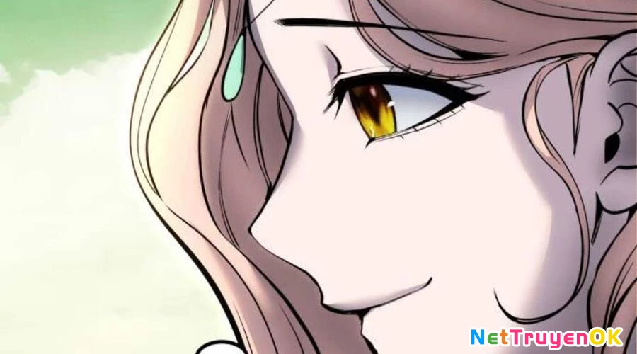 Tôi Mạnh Hơn Anh Hùng Chapter 71 - Trang 4