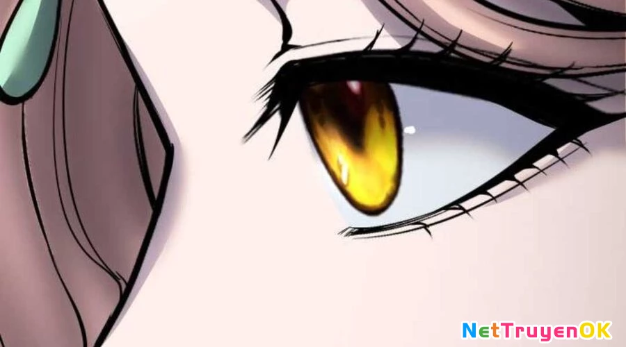 Tôi Mạnh Hơn Anh Hùng Chapter 71 - Trang 4