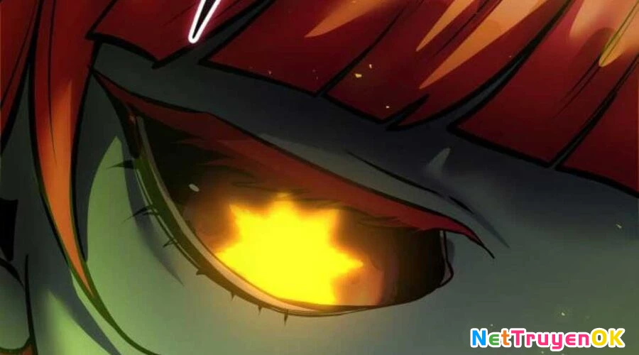 Tôi Mạnh Hơn Anh Hùng Chapter 71 - Trang 4