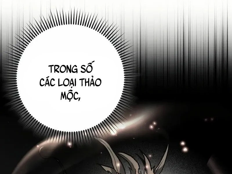 Sát Thủ Thiên Tài Đơn Độc Chapter 57 - Trang 4
