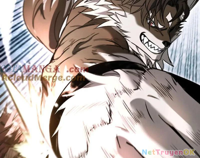 Boss Cuối Chấp Nhận Trở Thành Người Chơi Chapter 35 - Trang 4