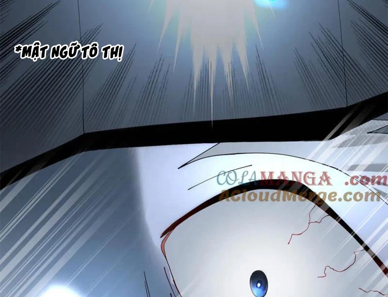 Chàng Rể Mạnh Nhất Lịch Sử Chapter 248 - Trang 4