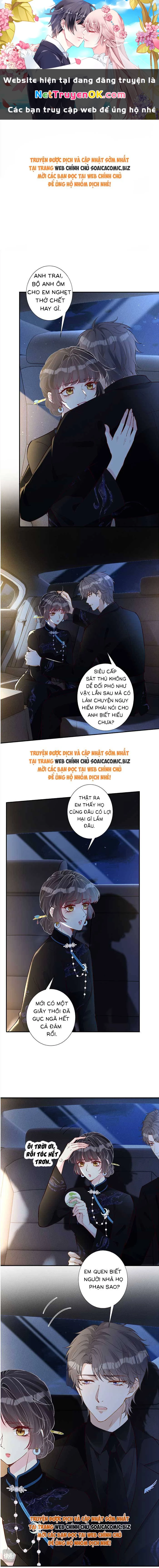 Ôm Khẩn Tiểu Mã Giáp Của Tôi Chapter 341 - Trang 4