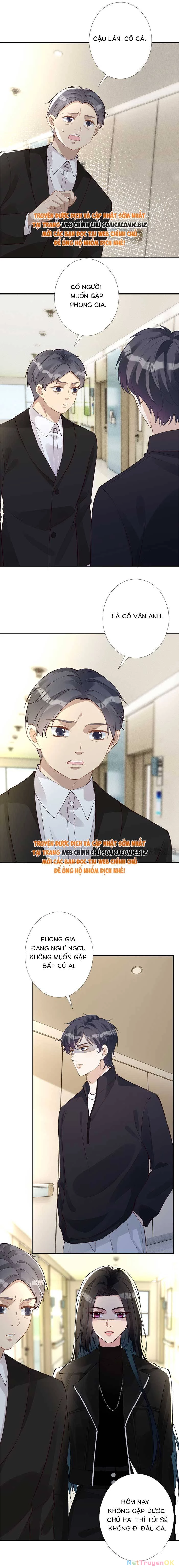 Ôm Khẩn Tiểu Mã Giáp Của Tôi Chapter 341 - Trang 4