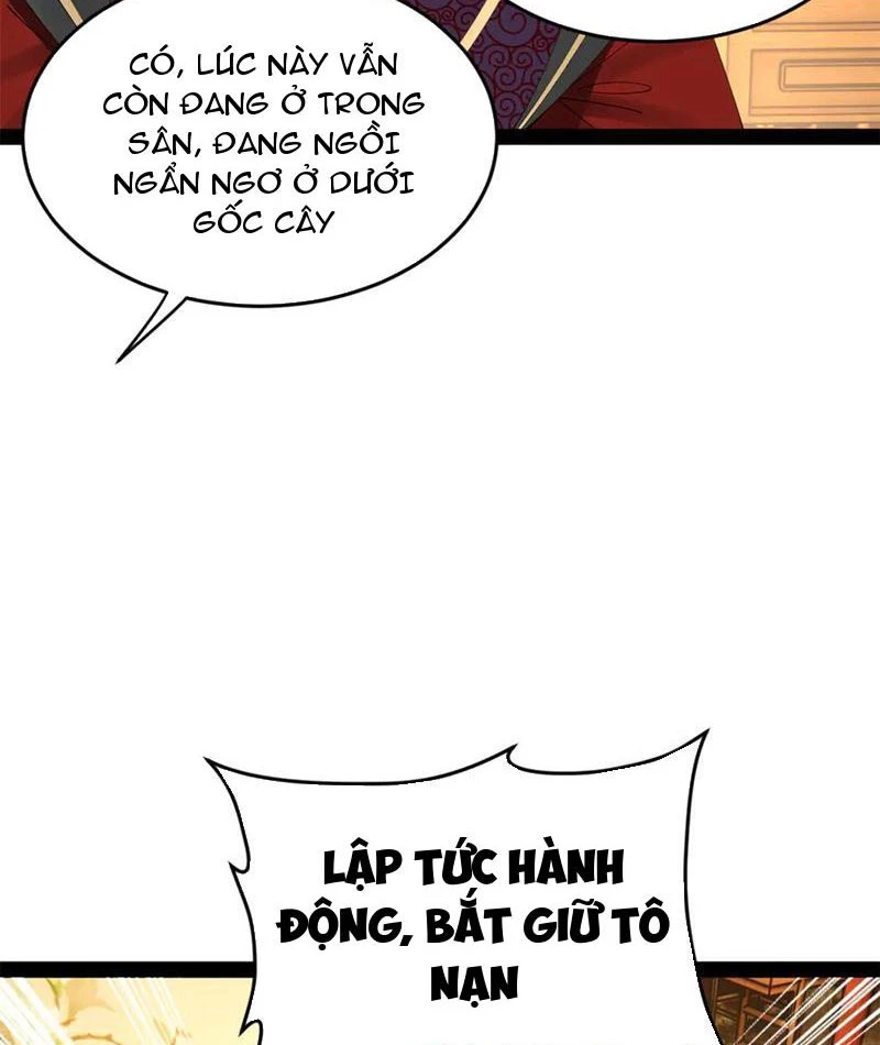 Chàng Rể Mạnh Nhất Lịch Sử Chapter 249 - Trang 4