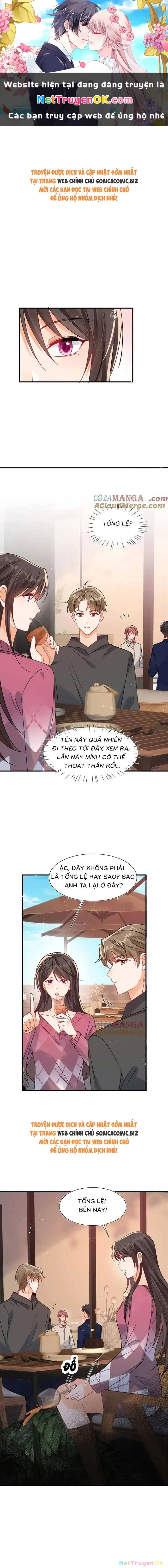 Cùng Lục Gia Yêu Đương Vụng Trộm Chapter 103 - Trang 4