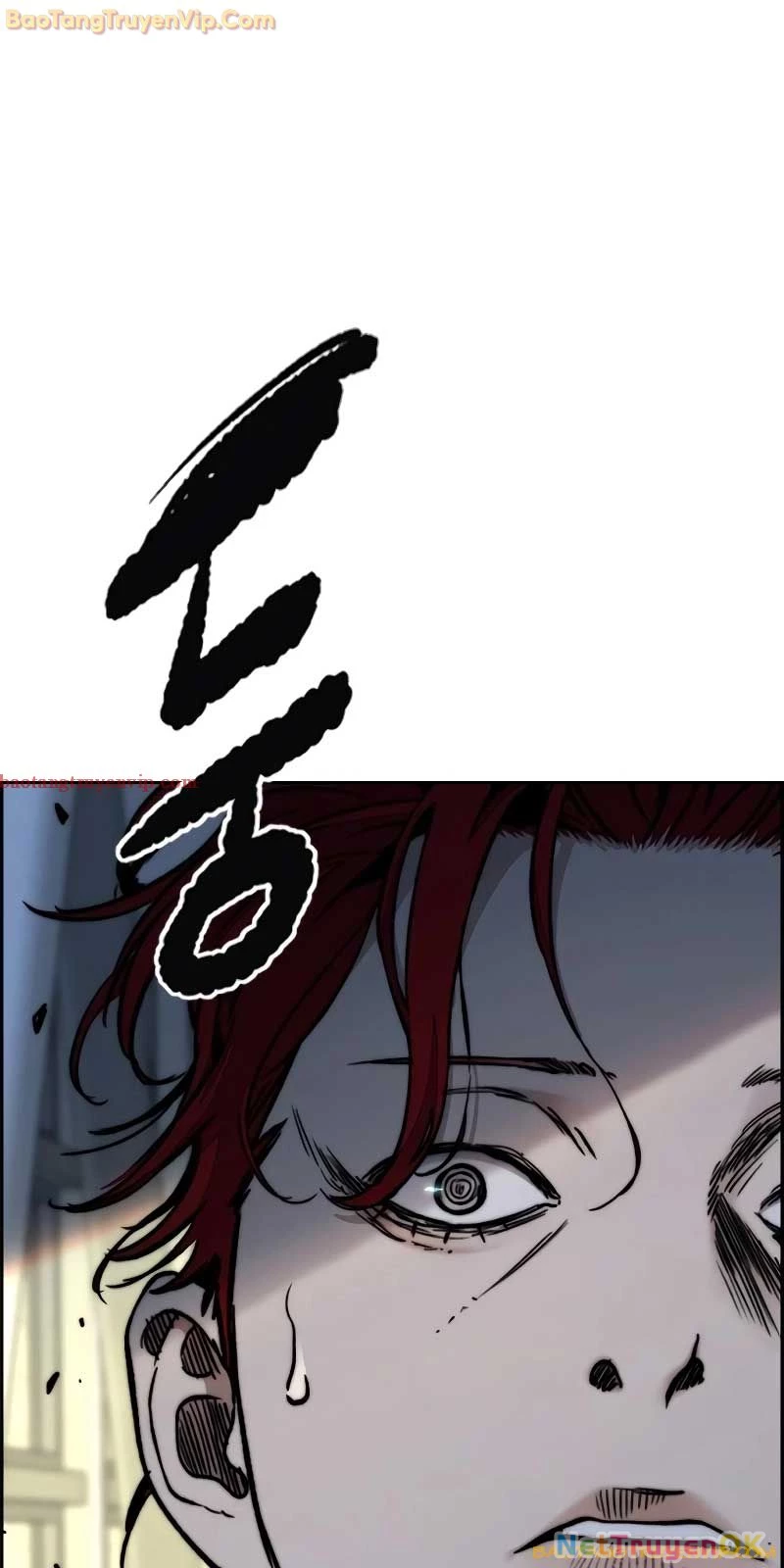 Thể Thao Cực Hạn Chapter 526 - Trang 4