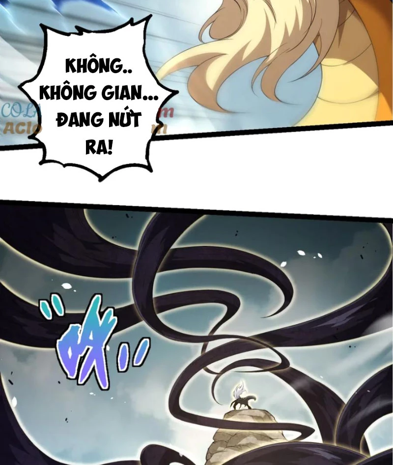 Chuyển Sinh Thành Liễu Đột Biến Chapter 304 - Trang 4