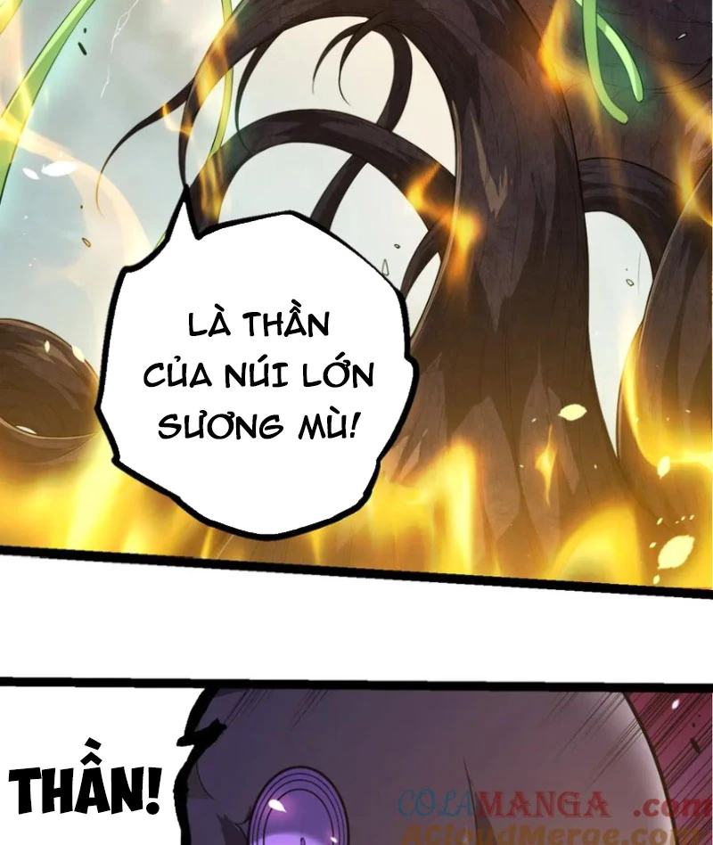 Chuyển Sinh Thành Liễu Đột Biến Chapter 304 - Trang 4