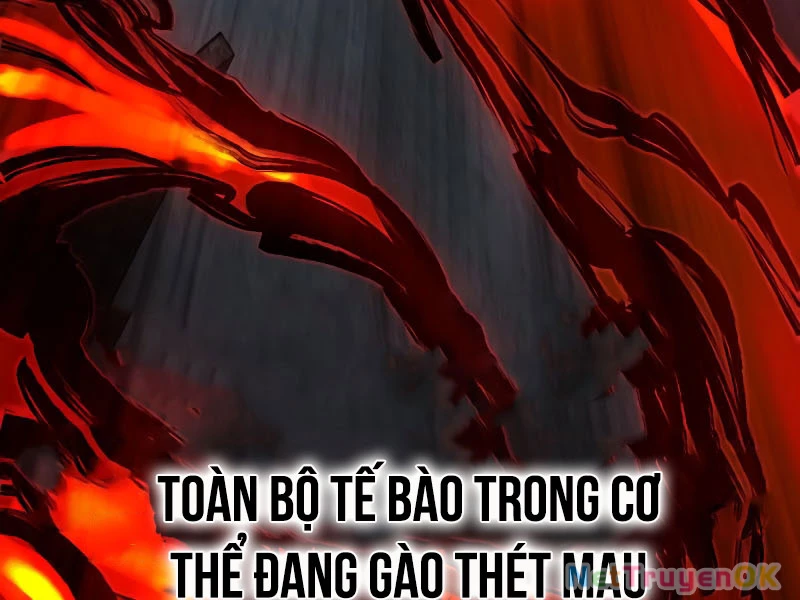 Cậu Bé Của Thần Chết Chapter 254 - Trang 4