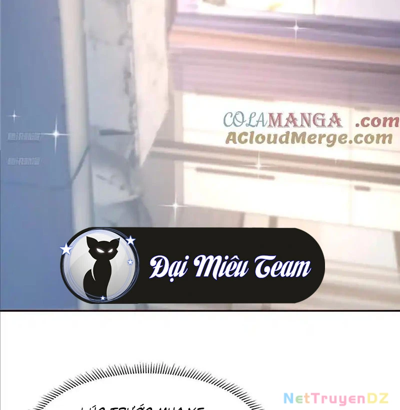 Ta Không Muốn Trùng Sinh Đâu Chapter 392 - Trang 4