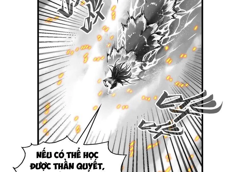 Vạn Cổ Chí Tôn Chapter 369 - Trang 4