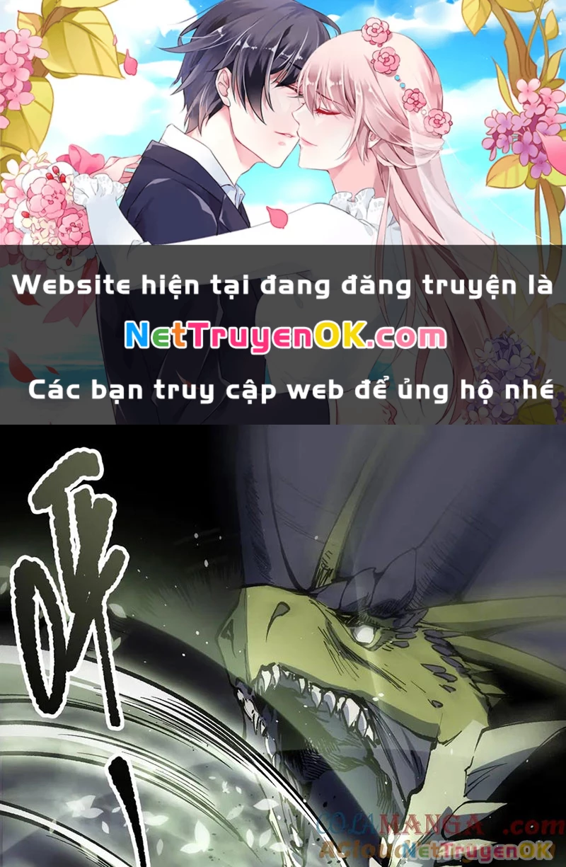Thảm Họa Tử Linh Sư Chapter 138 - Trang 4
