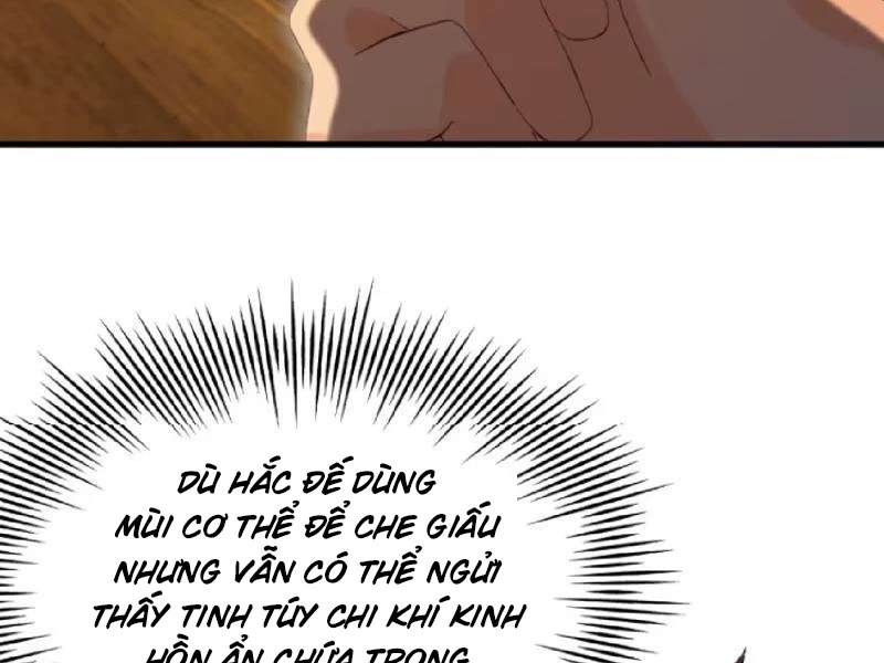Hoá Ra Ta Đã Vô Địch Từ Lâu Chapter 211 - Trang 4