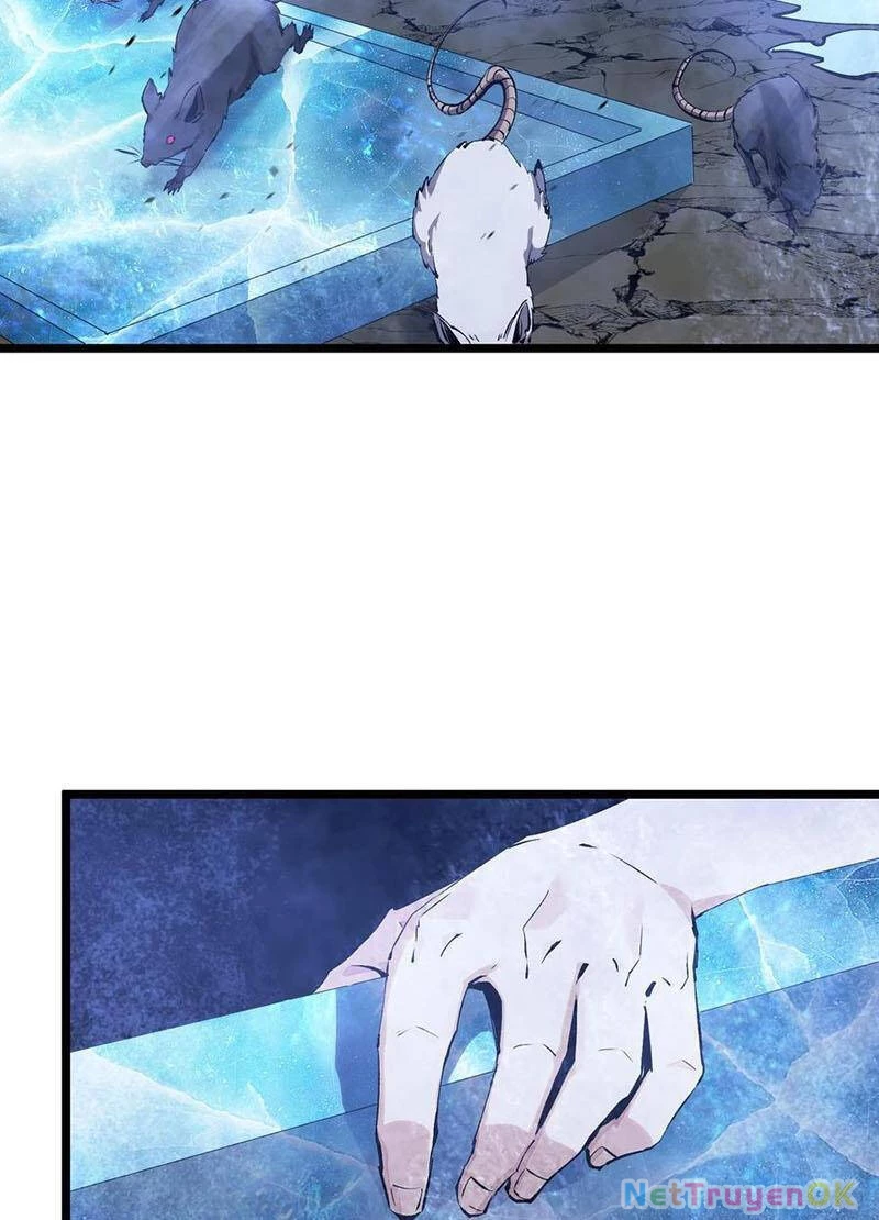 Ta Học Trảm Thần Trong Bệnh Viện Tâm Thần Chapter 169 - Trang 4