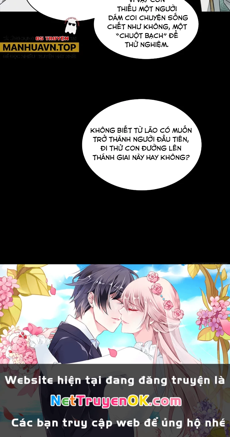 Tinh Giáp Hồn Tướng Chapter 248 - Trang 4