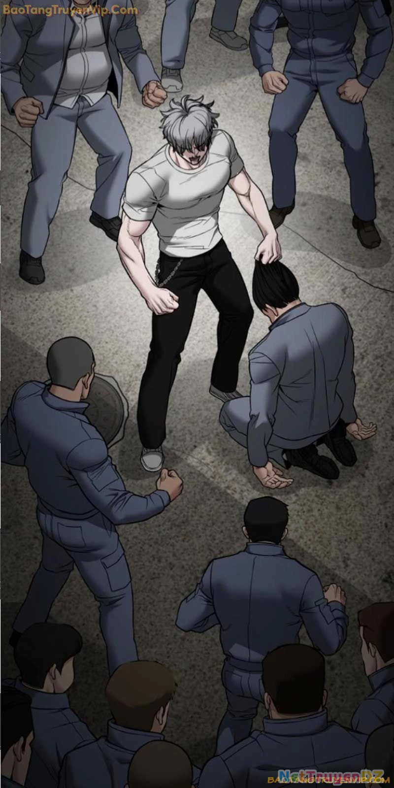 Giang Hồ Thực Thi Công Lý Chapter 115 - Next Chapter 116