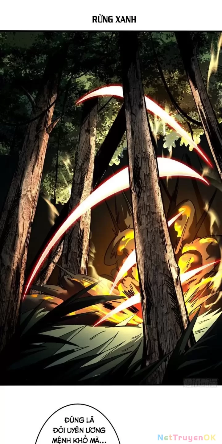 Ta, Chúa Tể Rừng Xanh Chapter 1 - Trang 2