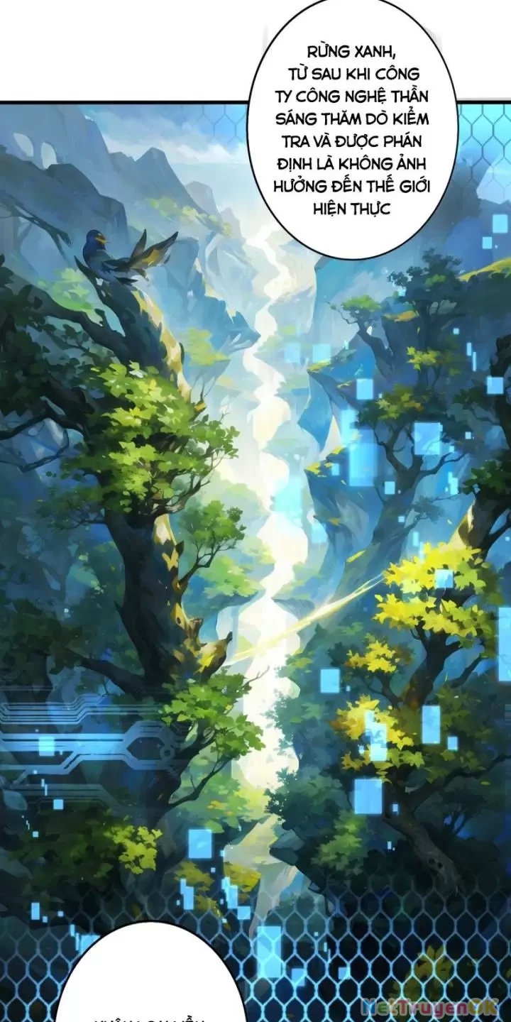 Ta, Chúa Tể Rừng Xanh Chapter 2 - Trang 2