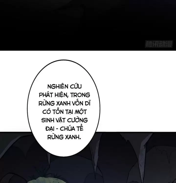 Ta, Chúa Tể Rừng Xanh Chapter 2 - Trang 2