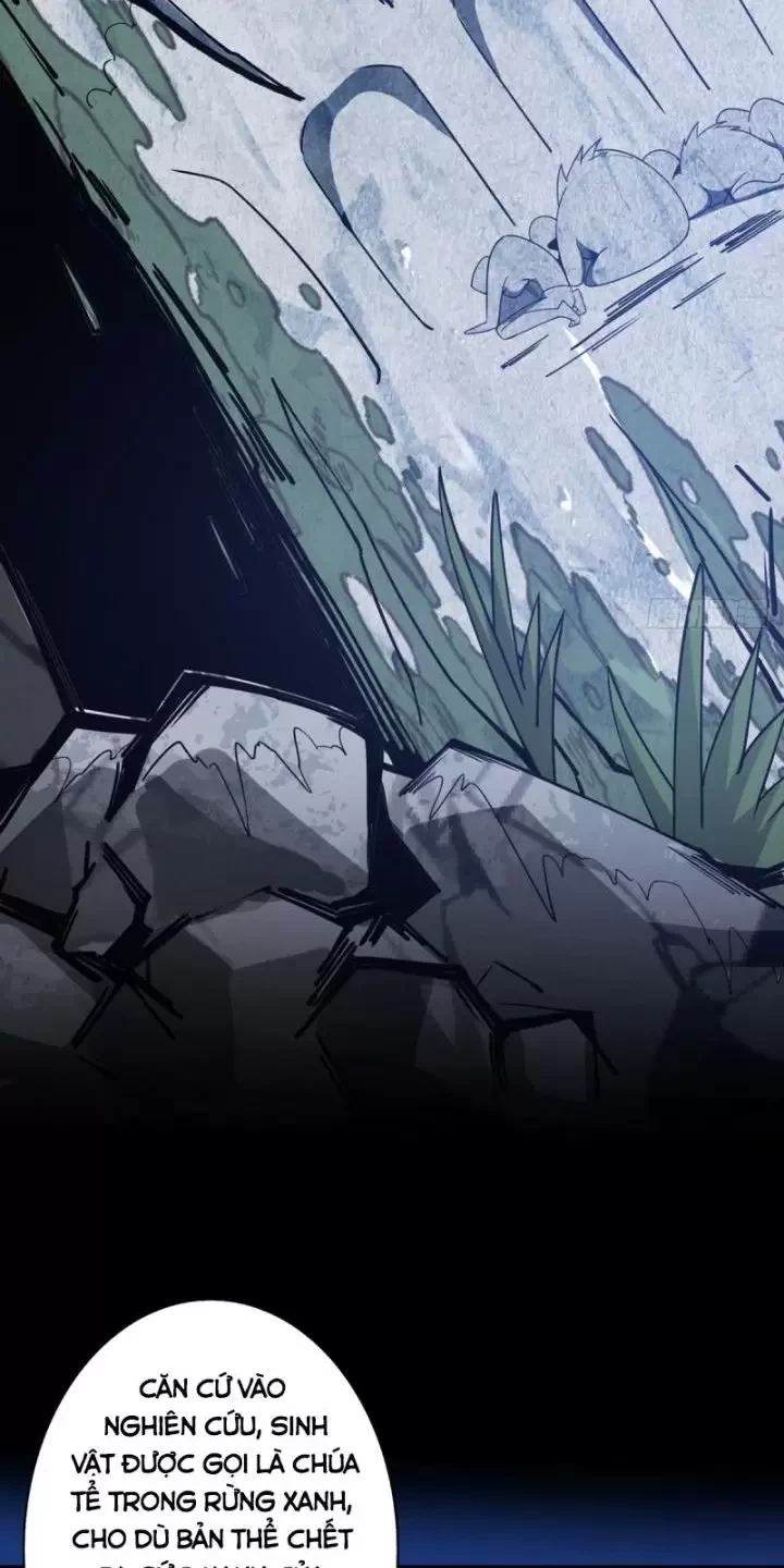 Ta, Chúa Tể Rừng Xanh Chapter 2 - Trang 2