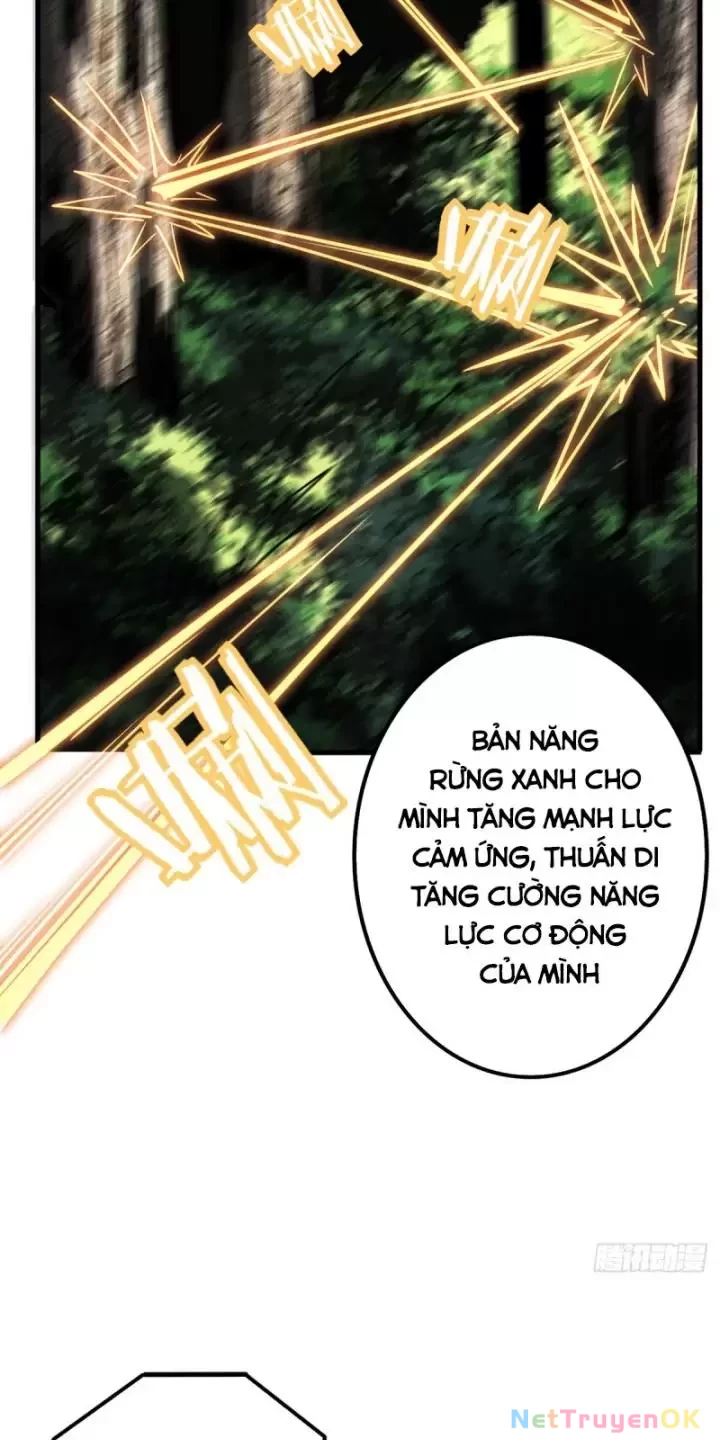Ta, Chúa Tể Rừng Xanh Chapter 2 - Trang 2