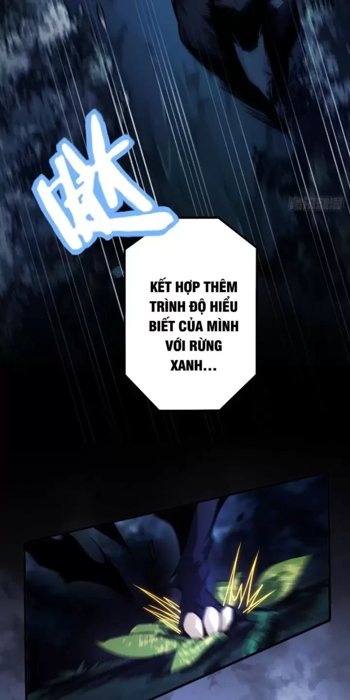 Ta, Chúa Tể Rừng Xanh Chapter 2 - Trang 2
