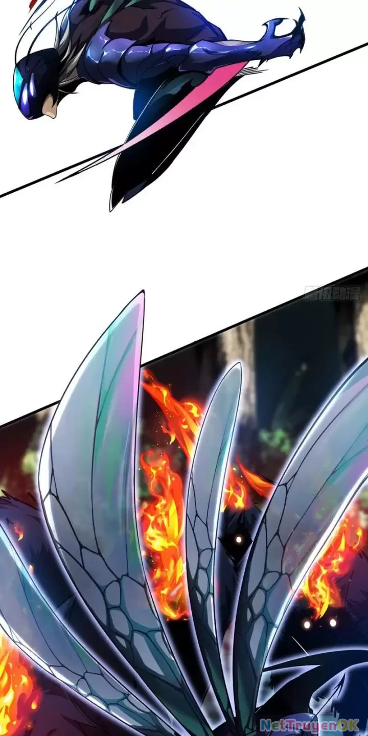 Ta, Chúa Tể Rừng Xanh Chapter 2 - Trang 2