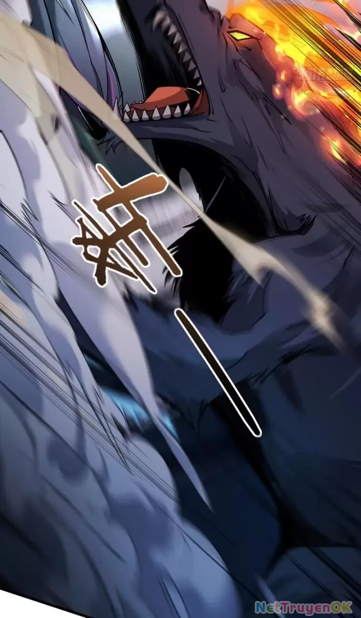 Ta, Chúa Tể Rừng Xanh Chapter 3 - Trang 2