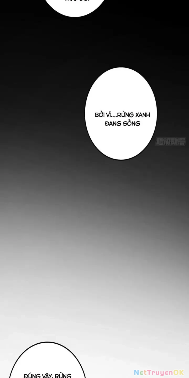 Ta, Chúa Tể Rừng Xanh Chapter 3 - Trang 2