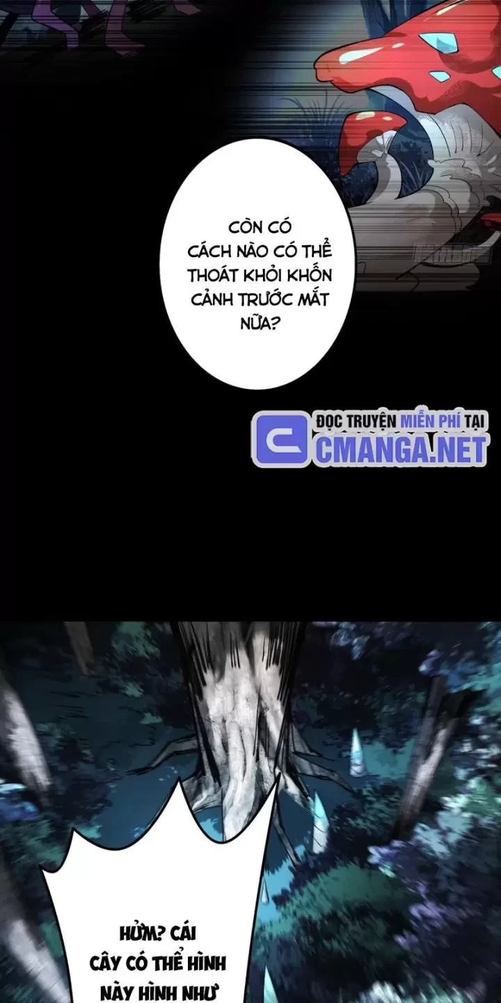 Ta, Chúa Tể Rừng Xanh Chapter 3 - Trang 2