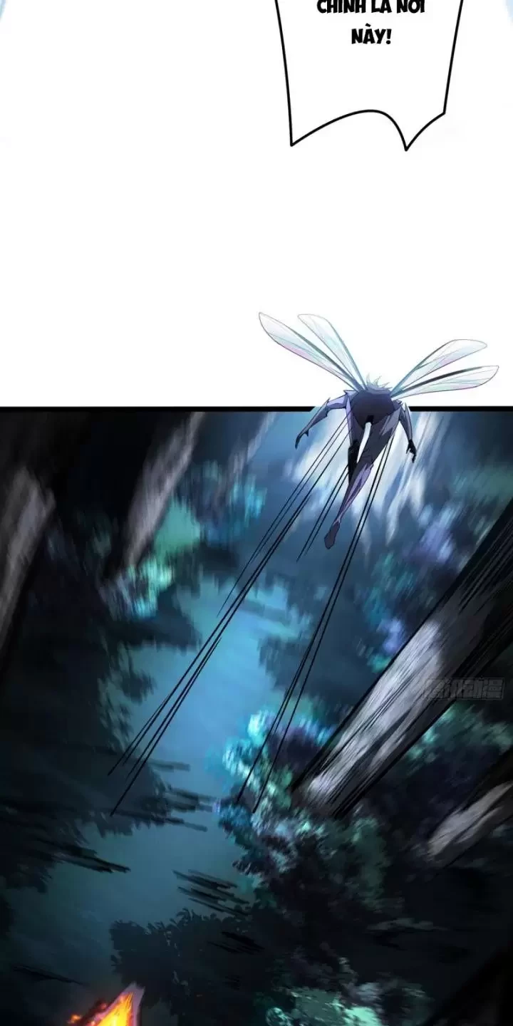 Ta, Chúa Tể Rừng Xanh Chapter 3 - Trang 2