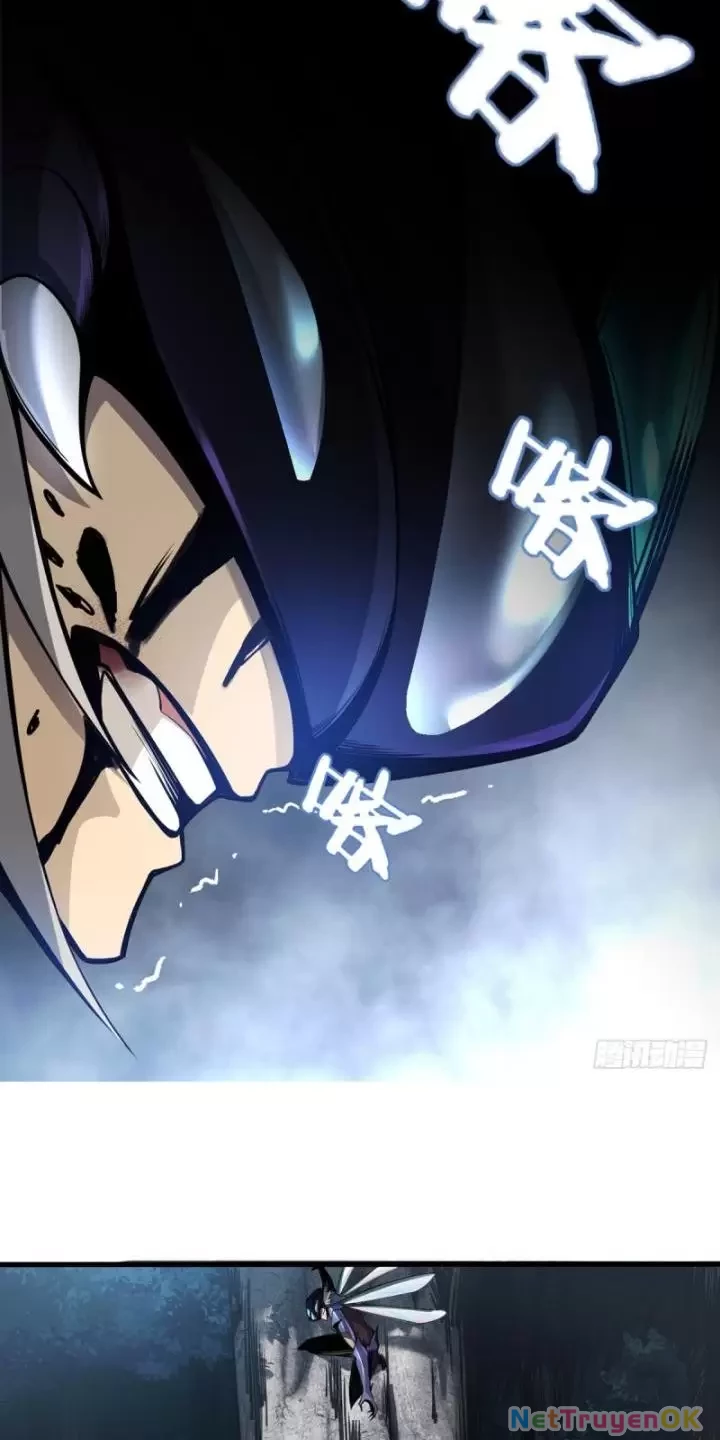 Ta, Chúa Tể Rừng Xanh Chapter 3 - Trang 2