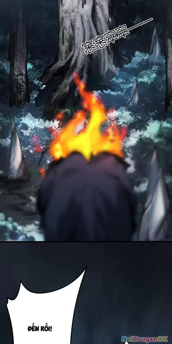 Ta, Chúa Tể Rừng Xanh Chapter 3 - Trang 2