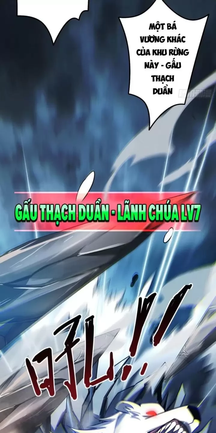 Ta, Chúa Tể Rừng Xanh Chapter 3 - Trang 2