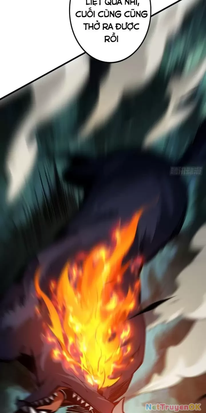 Ta, Chúa Tể Rừng Xanh Chapter 3 - Trang 2