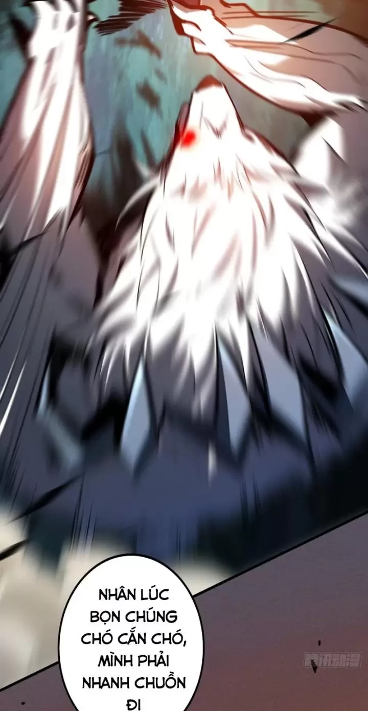 Ta, Chúa Tể Rừng Xanh Chapter 3 - Trang 2