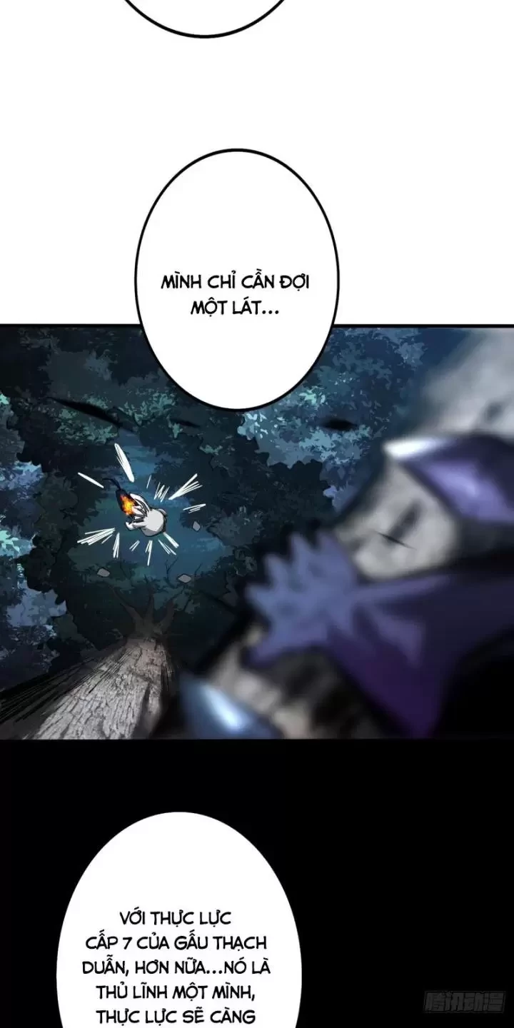 Ta, Chúa Tể Rừng Xanh Chapter 3 - Trang 2