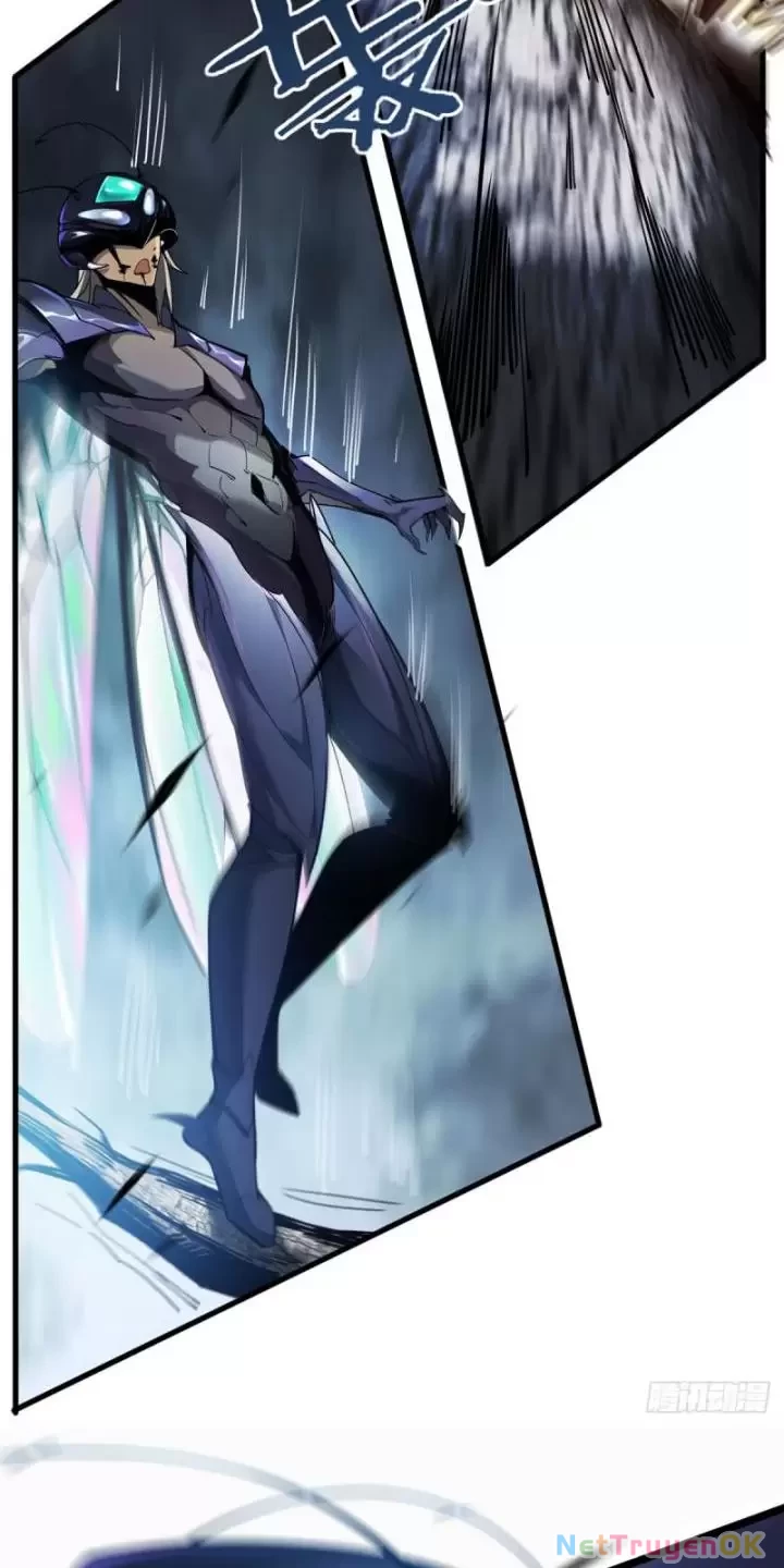 Ta, Chúa Tể Rừng Xanh Chapter 3 - Trang 2