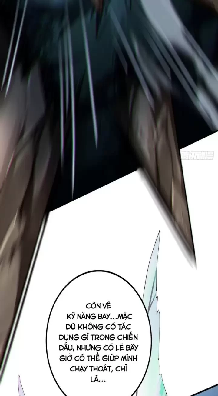 Ta, Chúa Tể Rừng Xanh Chapter 3 - Trang 2