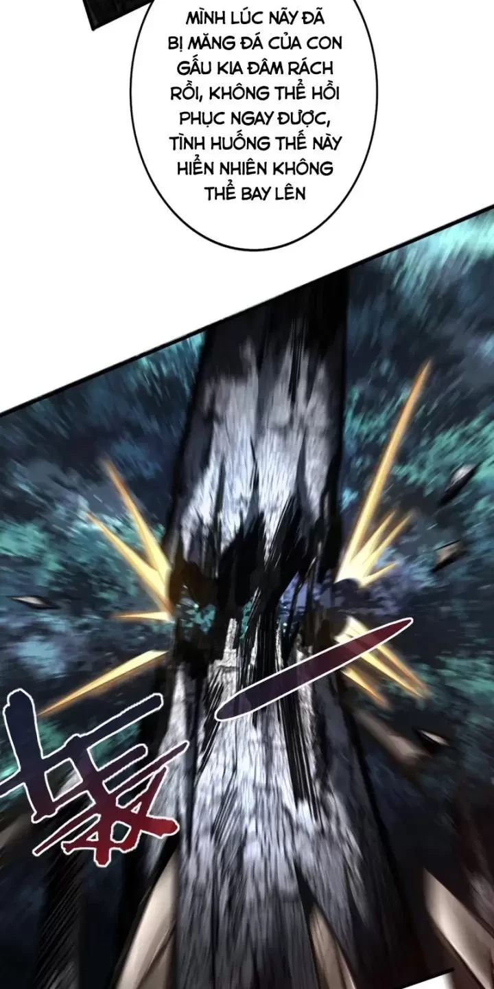 Ta, Chúa Tể Rừng Xanh Chapter 3 - Trang 2